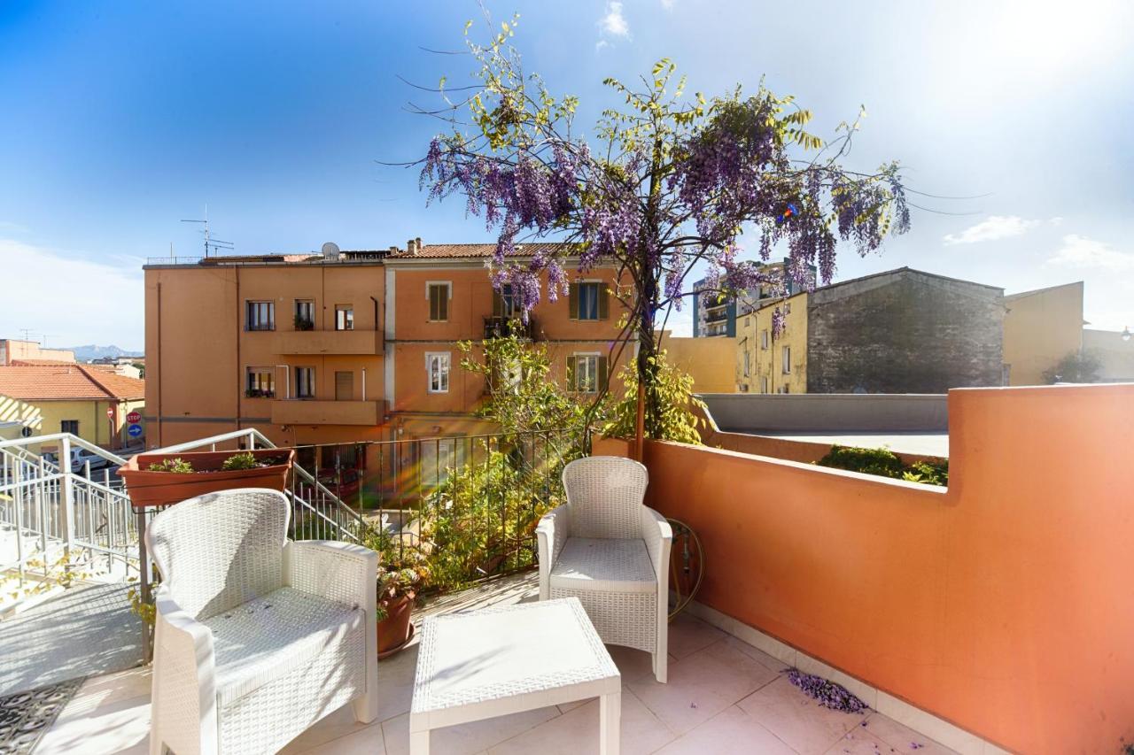 Center * Olbia